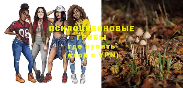 молекула духа Михайловка